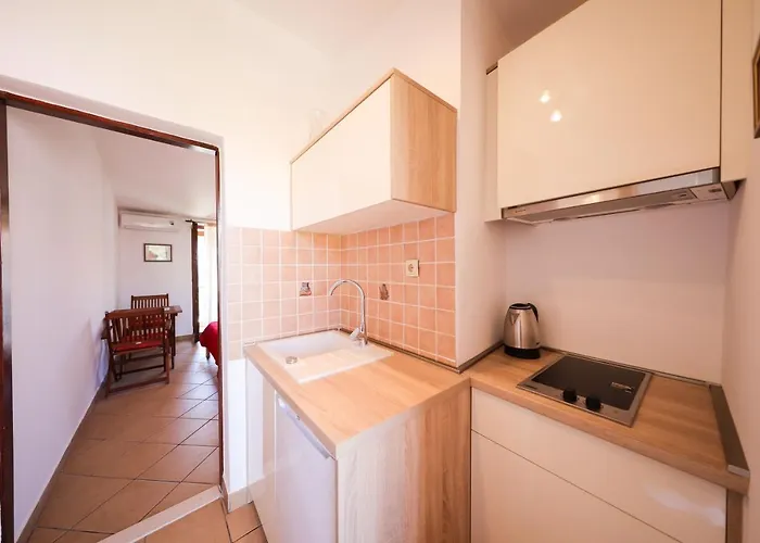 Vesna Бибинье